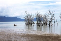 Bako National Park, Borneo, Malaysia (2013) © Aga Cebula