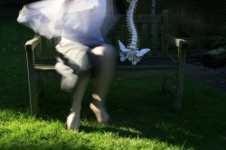 Garden Series (2010) Untitled #95 © Aga Cebula
