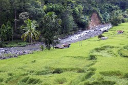 Flores in Indonesia, near Ende (2013) © Aga Cebula