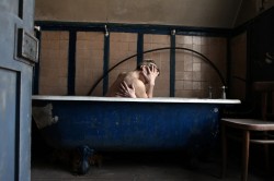 Attic Series (2011) Untitled #131 © Aga Cebula