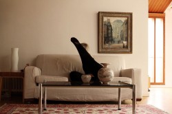 Static Series (2011) Untitled #147 © Aga Cebula