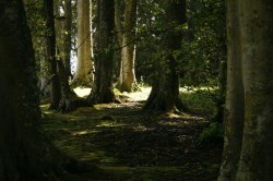 Travel Series Scotland (2009) Untitled #88 © Aga Cebula