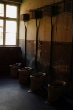 Auschwitz Series (2009) Untitled #84 © Aga Cebula