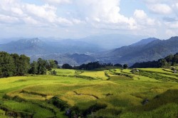 Toraja, Sulawesi, Indonesia (2013) © Aga Cebula