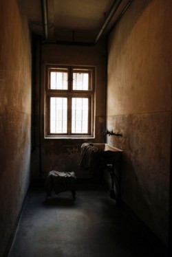 Auschwitz Series (2009) Untitled #83 © Aga Cebula